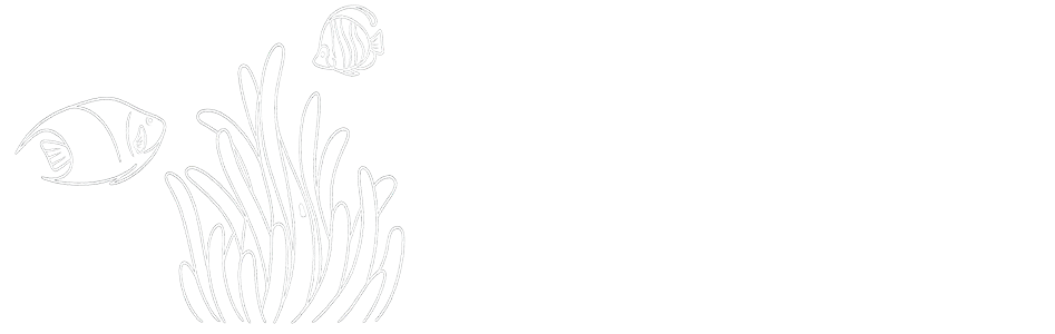 ReefFish